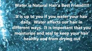 Is it Necessary To Wet Natural Hair Daily [upl. by Teyut]