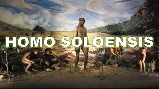 Solo man or Homo erectus soloensis [upl. by Eignav]