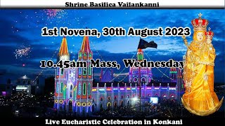 Day 1 of Vailankanni Novena  Konkani Mass Live at 1015am 30th Aug 2023  Vailankanni Shrine [upl. by Laerdna]