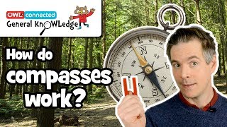 How does a compass work  General KnOWLedge [upl. by Skell]