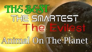 The Best The Smartest And The Most Evil Animal On The Planet [upl. by Vaclava]