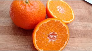 Citrus reticulata MandarineMandarinمندرين quotWilkingquot ويلكينغ agrumes citrus حمضيات [upl. by Odnomra]