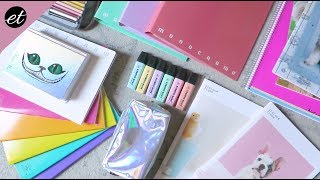 Mega HAUL di CARTOLERIA  Stationery Haul [upl. by Cummine472]