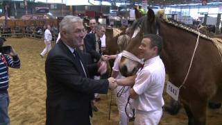 Concours de chevaux Trait Auxois HD [upl. by Eppillihp]