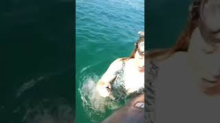 Challenges of climbing into the dinghy after snorkelling antigua windwardislands caribbean yacht [upl. by Chrisman539]