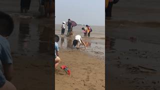 China  Fuzhou Mawei beach Best playground for kids【中国  福州马尾海滩孩子们的最佳游乐场】 [upl. by Arutek]