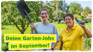 GARTENARBEIT IM SEPTEMBER Diese 5 Dinge sind jetzt zu tun [upl. by Doubler]