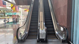 Yu Lan Plaza  Schindler SDS 30100K Escalator 2 Not working [upl. by Yrallih735]