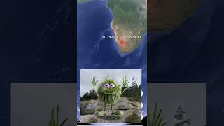 i found strange plant on Google map and google earth earth earthmap721 map viral [upl. by Selrahc951]