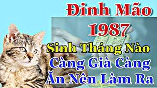 Đinh Mão 1987 Xem Tháng Sinh Nào Hậu Vận Sung Túc Tháng Nào Làm Mãi Không Dư [upl. by Hametaf917]