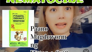 PAANO MAG DEWORM NG KITTEN O CAT  NEMATOCIDE pang deworm  CatVlog 68 deworm cat kitten [upl. by Hallee]