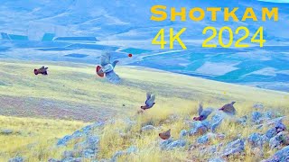 Keklik Tavşan Avı Shotkam Vuruşları Partridge Hunting Shotkam recordings охота на куропатку [upl. by Maxy]