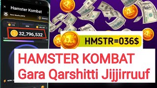 HAMSTER KOMBAT Gara Qarshitti Jijjiirruuf  HAMSTER KOMBAT In Ethiopia [upl. by Hunfredo]