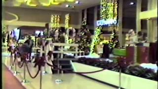 Getting Kicked out of Southern Park Mall 1990 [upl. by Oigufer644]