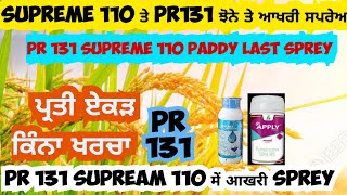 Supreme 110 ਤੇ PR 131 ਝੋਨੇ ਤੇ ਆਖਰੀ ਸਪਰੇਅ👈 Last Sprey in Paddy [upl. by Ko]