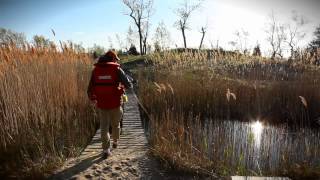 Long Point EcoAdventures Trip to Tip [upl. by Landry]