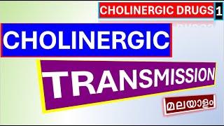 Cholinergic Drugs Pharmacology Malayalam Cholinergic System Botulinum Toxin Poison Malayalam [upl. by Ligriv]