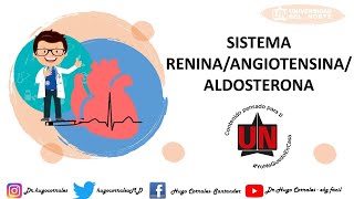 SISTEMA RENINA ANGIOTENSINA ALDOSTERONA FISIOLOGÍA [upl. by Eelan978]