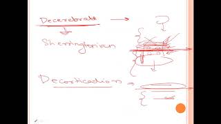 Regulation of Tone and Posture  DECEREBRATE rigidity vs DECORTICATE rigidity [upl. by Annat957]