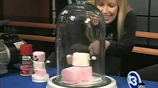 Marshmallows in a vacuum chamber [upl. by Anirual]