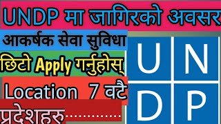 Latest job Vacancy in UNDP  2078  Top and Professional job in UNDP Top INGO Job Turning Point [upl. by Ellenehc]