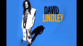 David Lindley Aint No Way Reggae [upl. by Radmilla427]