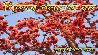 Pindare Polashir Bon পিন্দরে পলাশের বনBengali Jhumur Dance song Dance Cover By Bipasha Bain [upl. by Llenrap]