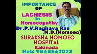 IMPORTANCE OF LACHESIS IN HOMOEOPATHY [upl. by Kori]