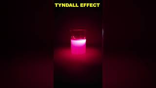 Tyndall Effect shorts [upl. by Tippets544]