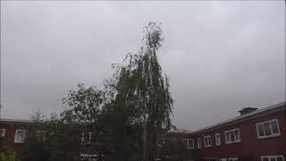 onweer met zware windstoten en regen op zaterdagnamiddag 24 augustus 2024 in Utrecht [upl. by Stephana]