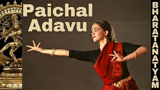 Paichal adavu practice video  Bharatanatyam  Guru Shylu Winston [upl. by Karia]