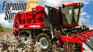 FARMING SIMULATOR 20  BAUMWOLLE ernten  gibt das Geld  LandwirtschaftsSimulator 20 Gameplay [upl. by Zetrac511]