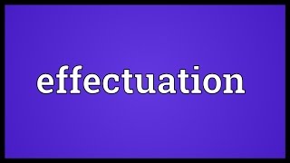 Effectuation Meaning [upl. by Hamirak]