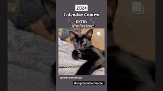 Calendar Contestant 🐾🐈‍⬛️🎊 vlog catvlog calendar cat fypシ゚ fyp calendar contest catshorts [upl. by Hpesoj]