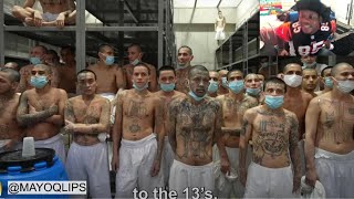 Inside CECOT The MEGA Prison That Changed EL Salvador Reaction [upl. by Jesse]