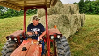 Stuffing the Barn with Hay [upl. by Neema]