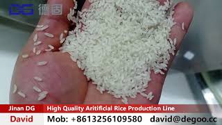 High Quality Fortified Rice Kernels Production Line India Market [upl. by Loats]