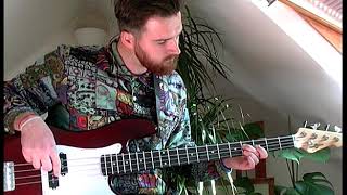 One Milion Lovers  The Growlers  bass cover [upl. by Ricker268]