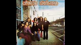 Lynyrd Skynyrd  Free Bird  Guitar only lead [upl. by Nerti]