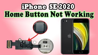 iPhone SE 2020 Cracked Home Button Restoration [upl. by Rollin798]