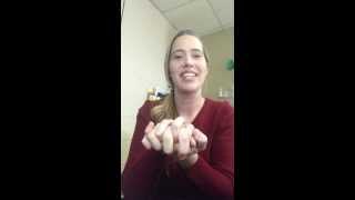 Rock Cycle Hand Motions Review [upl. by Dorie231]