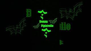 Donna Pipistrello neiperte music ai perte musica newmusic song rap pipistrello [upl. by Burrill]