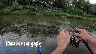 Pasażer na gapę Niespodzianka na spinnining  big fish [upl. by Ellett490]