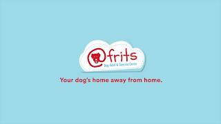 Frits Dog Hotel amp Daycare Centre Radio Ad quotHARRYquot [upl. by Adnohsal]