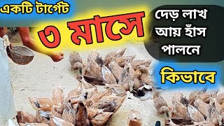 কিভাবে  একটি টার্গেট ৩ মাসে দেড় লাখ টাকা আয় হাঁস পালন করে PUROBI boss  has palon poddhoti [upl. by Urbas]