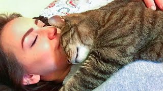 Snuggle Time Is Coming Cute Cats And Their Owners Sleep Together [upl. by Rodge]