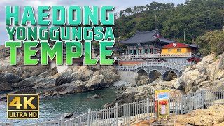 Haedong Yonggungsa Temple Busan Walking Tour Amazing temple in Korea [upl. by Atsillac]