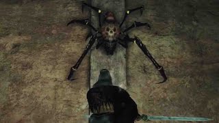 SPIDERS  Dark Souls 2 w Trikslyr 17 [upl. by Siryt]