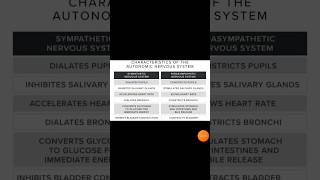 Difference between sympathetic and parasympathetic nervous system follow for more🥰 [upl. by Lhok29]