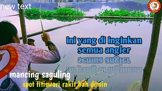 inilah yang di inginkan semua para pemancing  mancing saguling terbaru 2023 [upl. by Ellahcim538]